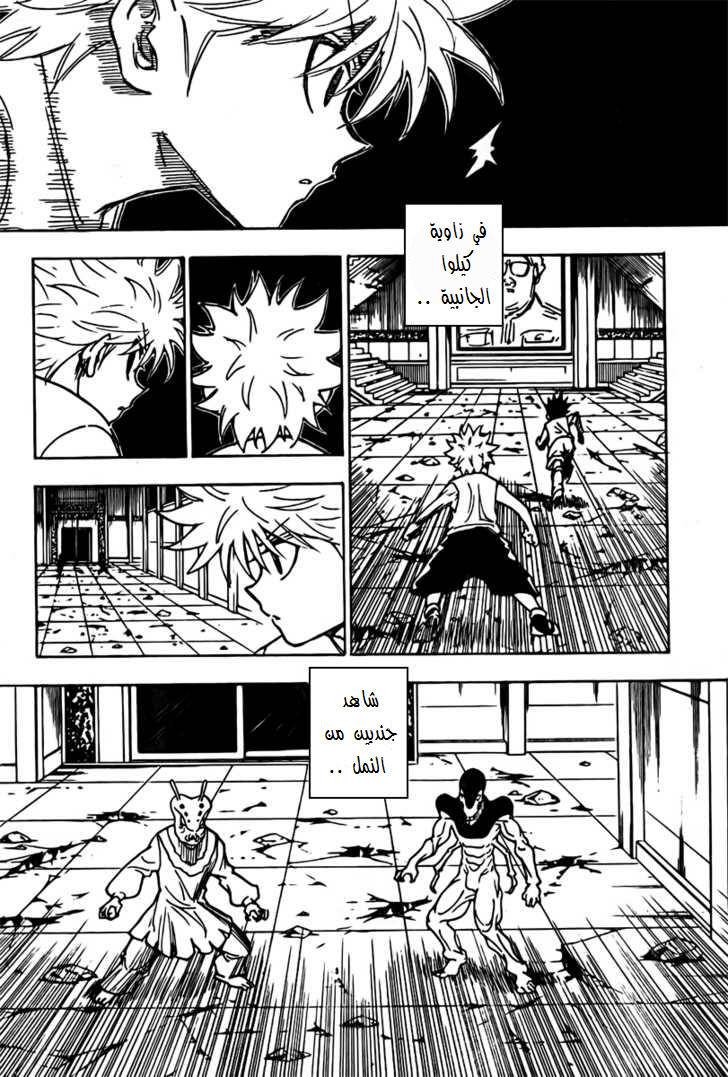 Hunter x Hunter: Chapter 269 - Page 10