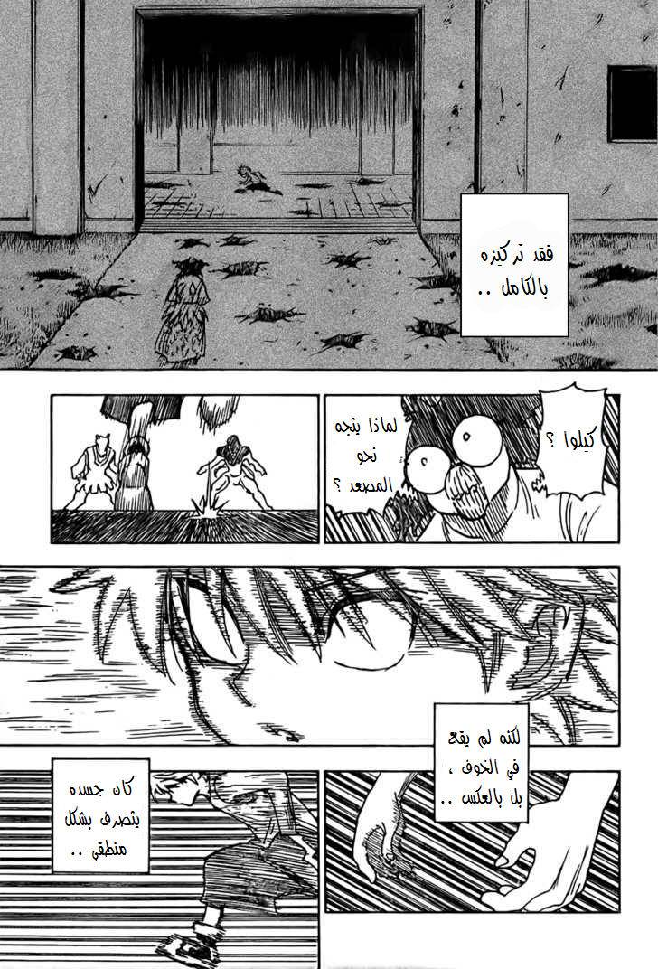 Hunter x Hunter: Chapter 269 - Page 13