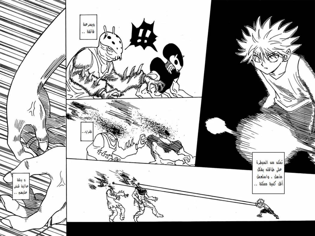Hunter x Hunter: Chapter 269 - Page 14