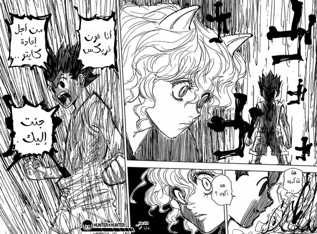 Hunter x Hunter: Chapter 273 - Page 18