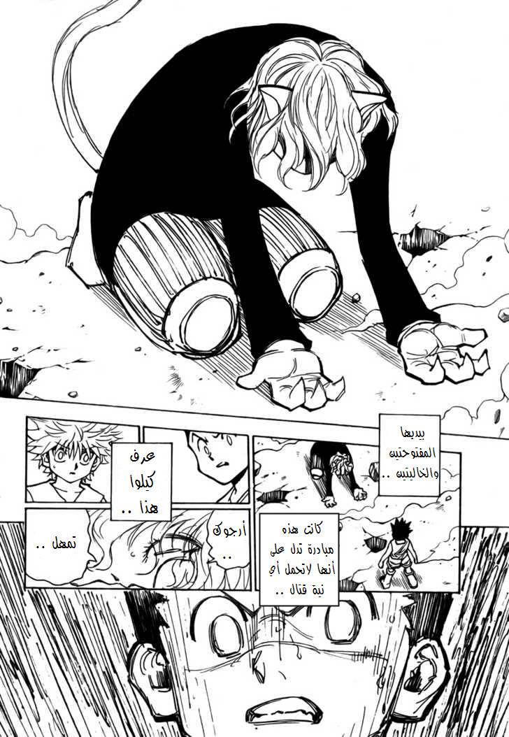 Hunter x Hunter: Chapter 274 - Page 10