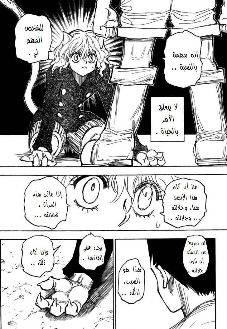 Hunter x Hunter: Chapter 274 - Page 17