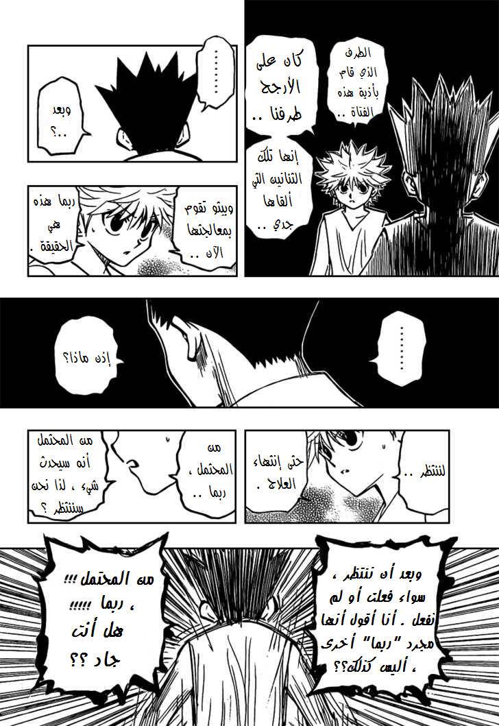Hunter x Hunter: Chapter 275 - Page 3