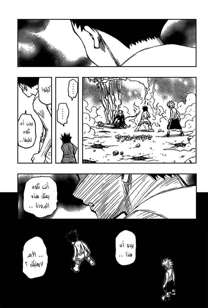 Hunter x Hunter: Chapter 275 - Page 12