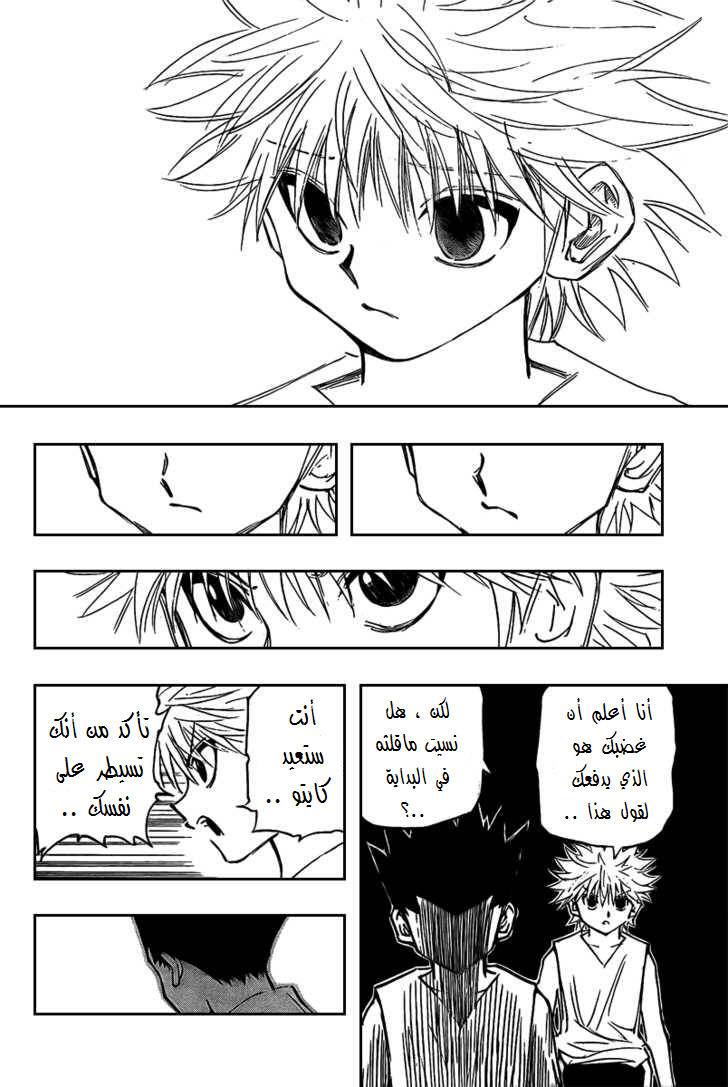 Hunter x Hunter: Chapter 275 - Page 13