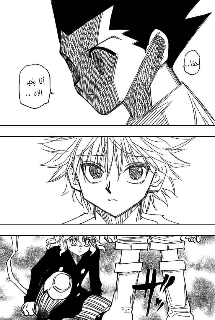 Hunter x Hunter: Chapter 275 - Page 14