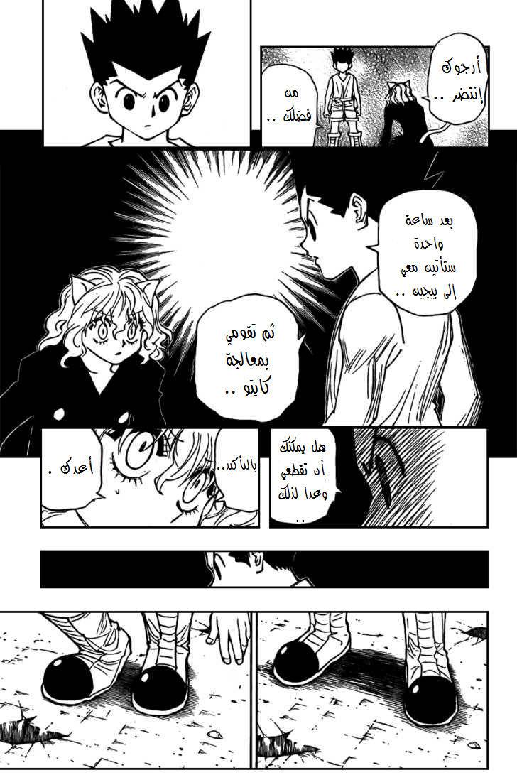 Hunter x Hunter: Chapter 275 - Page 16