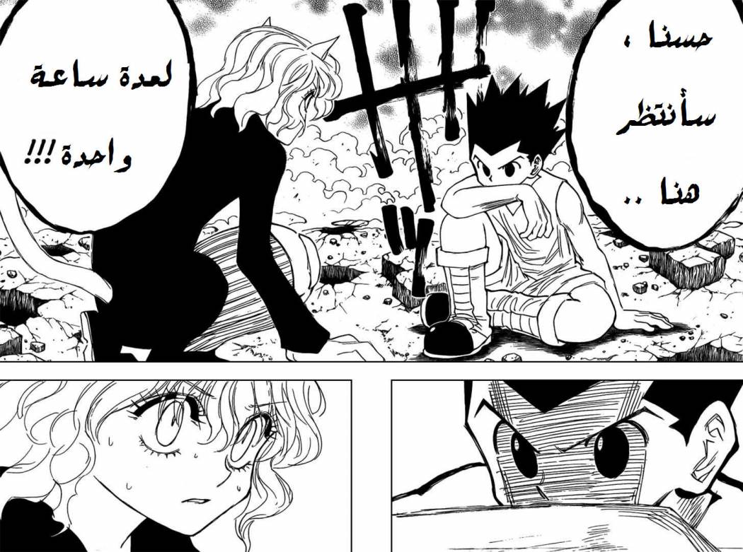Hunter x Hunter: Chapter 275 - Page 17