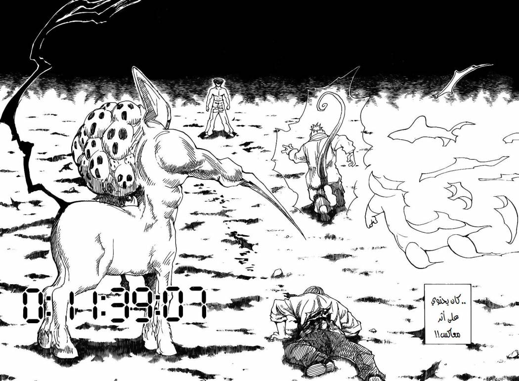 Hunter x Hunter: Chapter 289 - Page 13