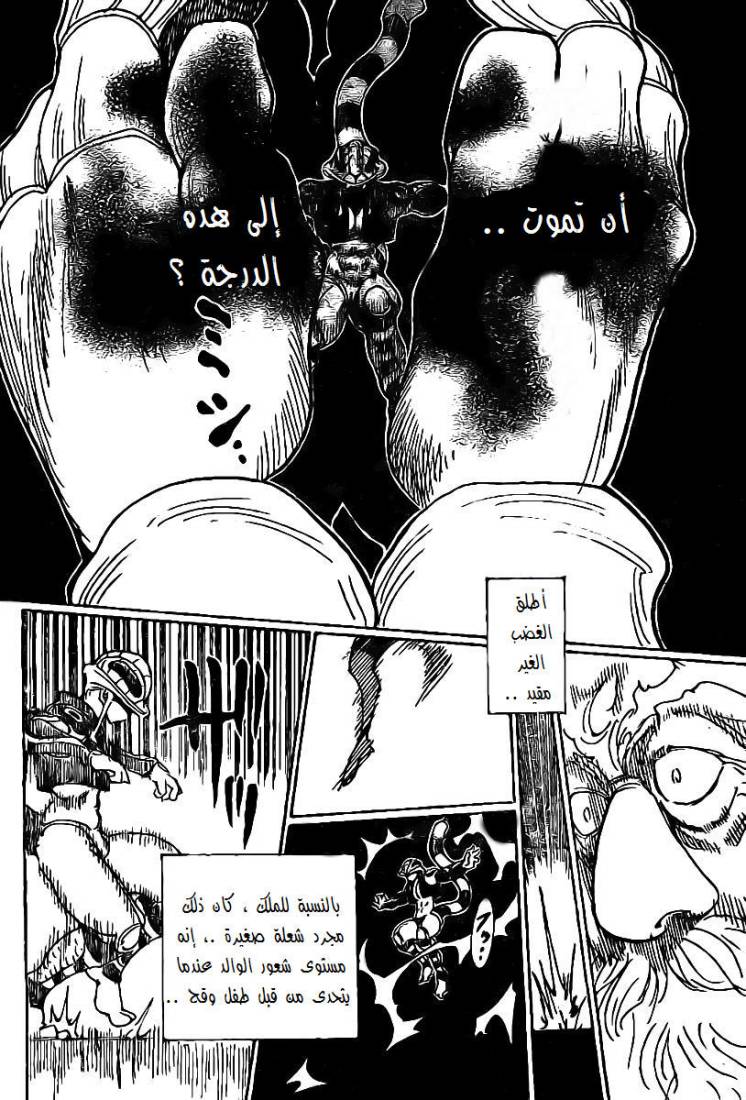 Hunter x Hunter: Chapter 290 - Page 14