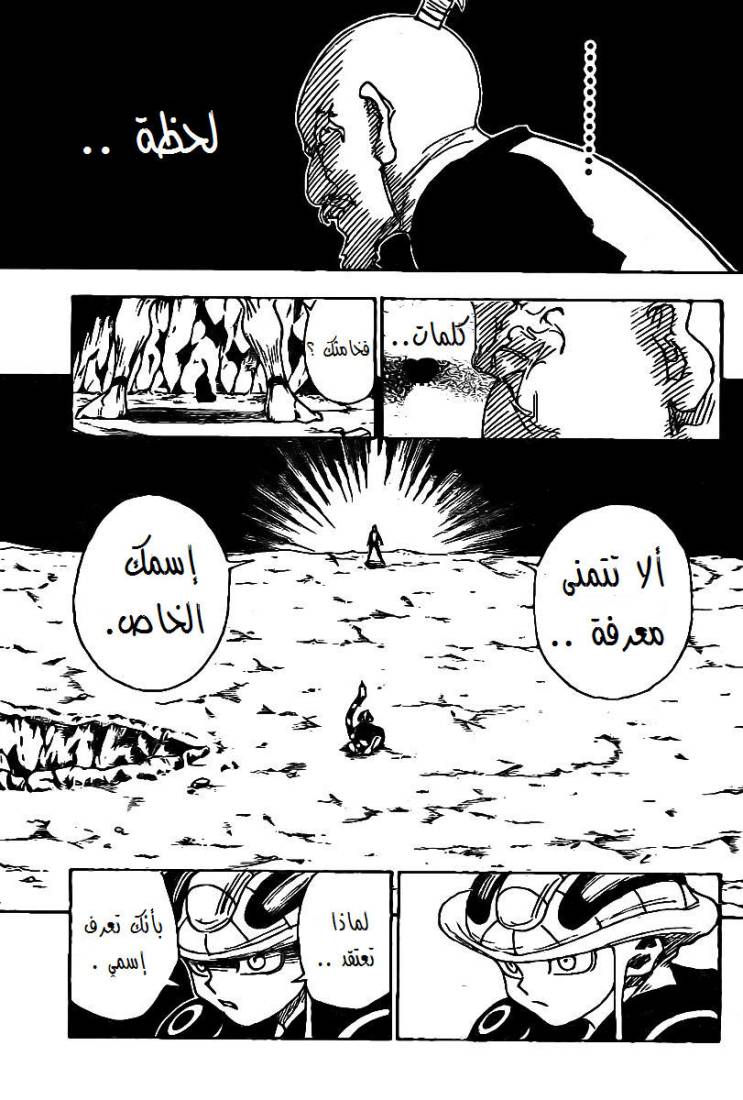 Hunter x Hunter: Chapter 290 - Page 17