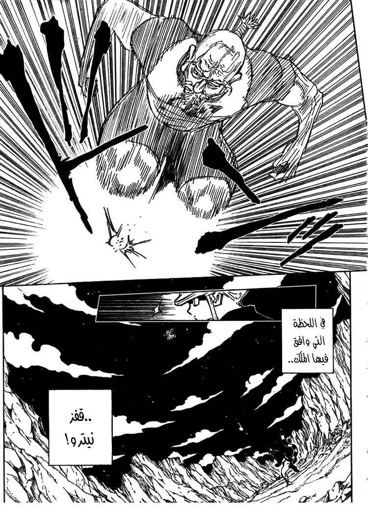 Hunter x Hunter: Chapter 291 - Page 3
