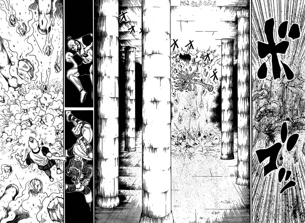 Hunter x Hunter: Chapter 291 - Page 13
