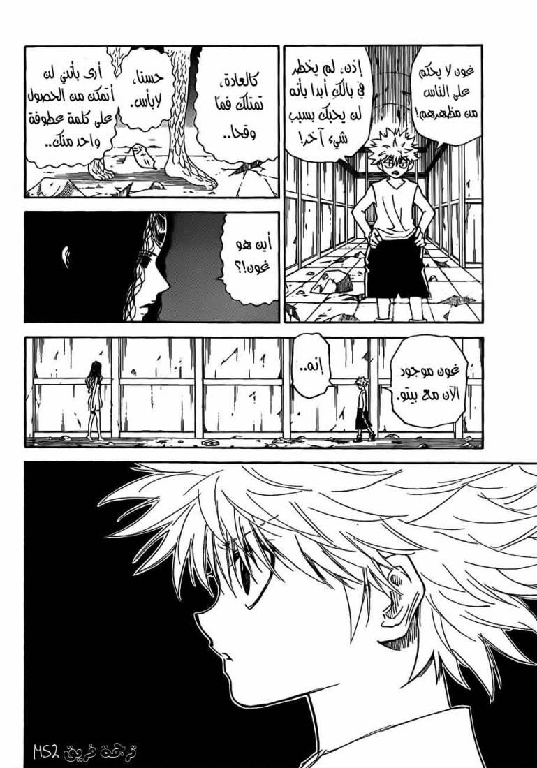 Hunter x Hunter: Chapter 293 - Page 10