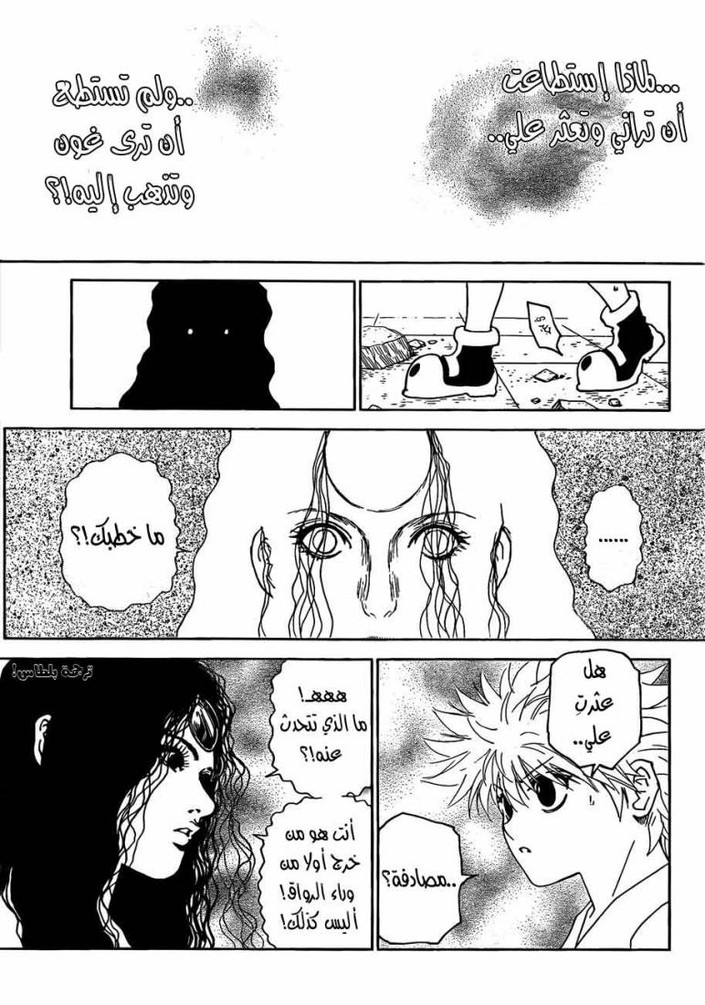Hunter x Hunter: Chapter 293 - Page 11