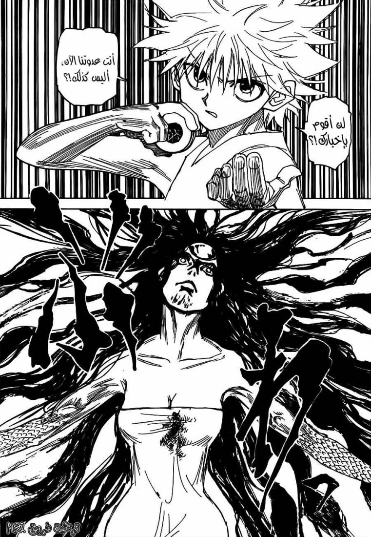 Hunter x Hunter: Chapter 293 - Page 13