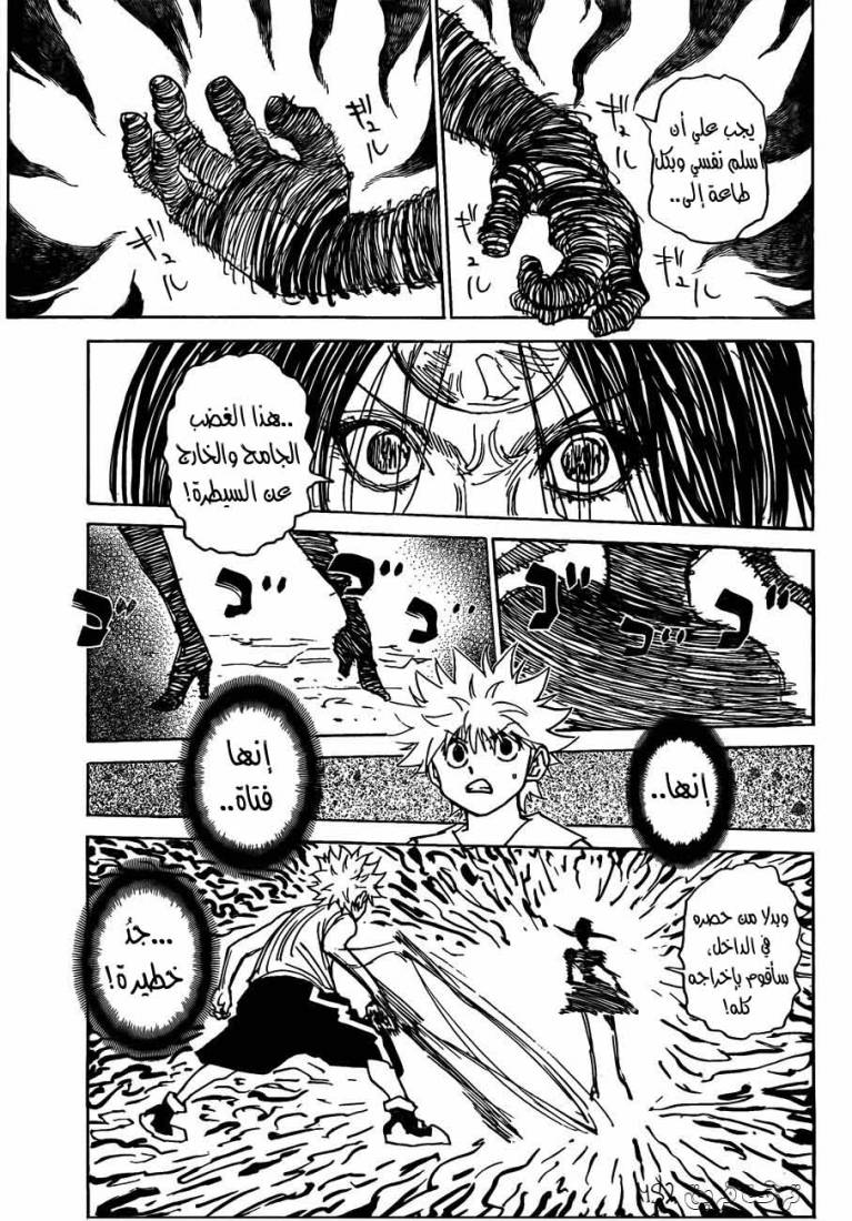 Hunter x Hunter: Chapter 293 - Page 15