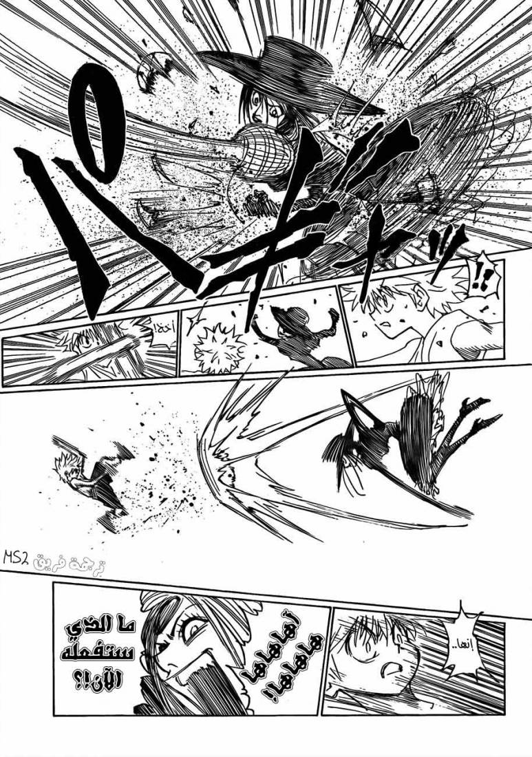 Hunter x Hunter: Chapter 293 - Page 17