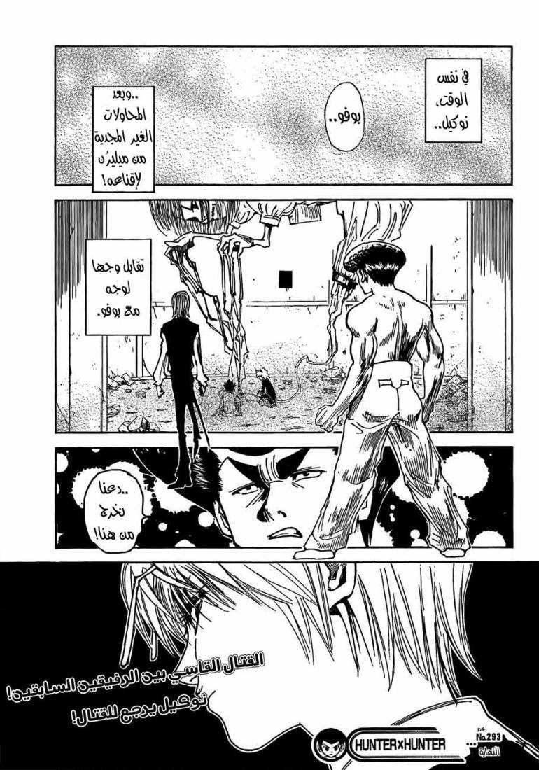 Hunter x Hunter: Chapter 293 - Page 19