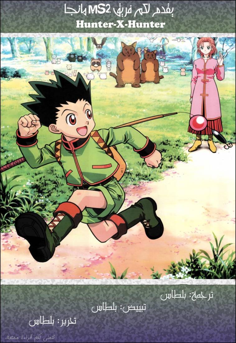 Hunter x Hunter: Chapter 293 - Page 20