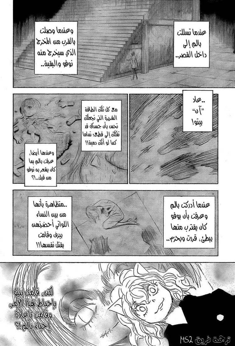 Hunter x Hunter: Chapter 294 - Page 10