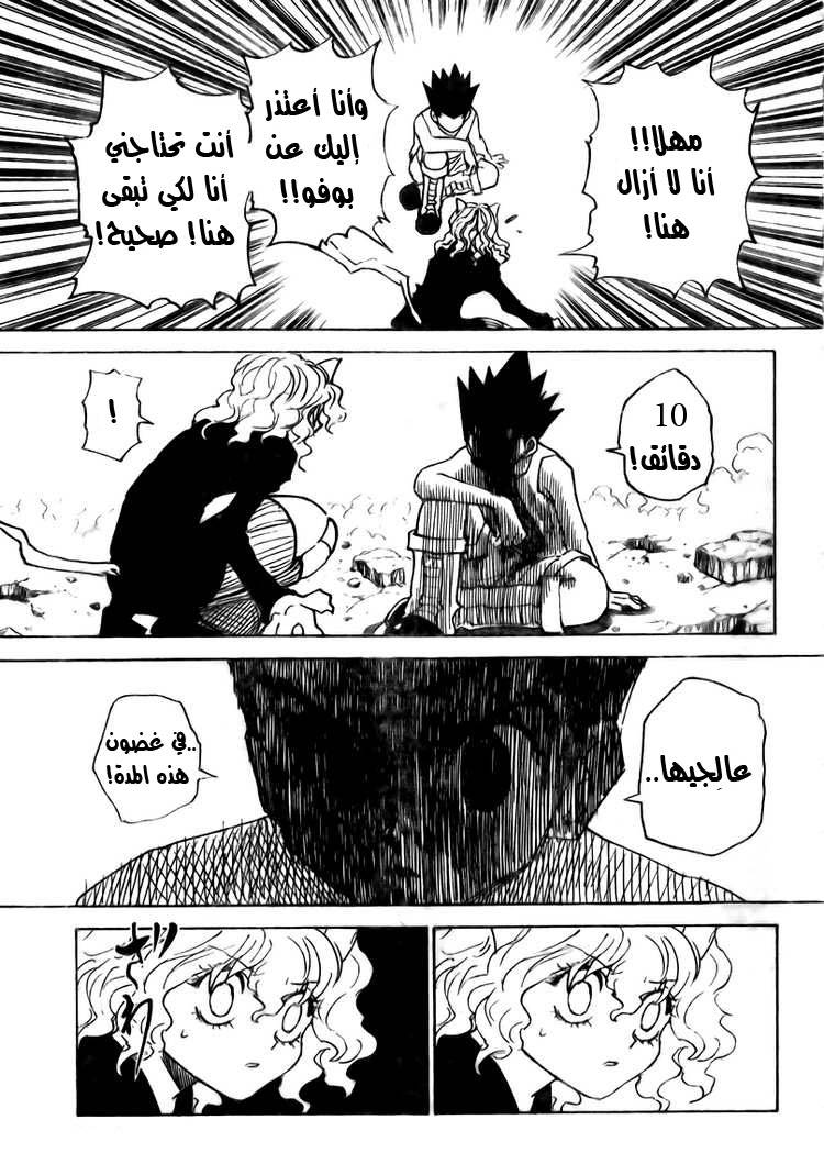 Hunter x Hunter: Chapter 295 - Page 10