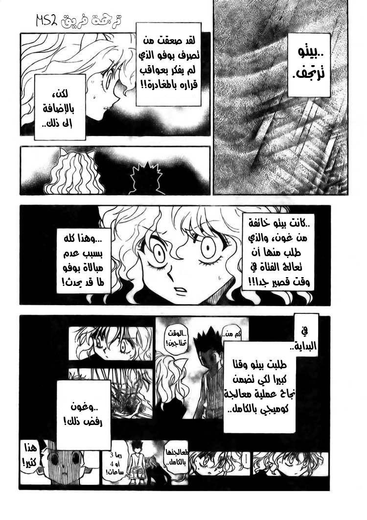 Hunter x Hunter: Chapter 295 - Page 11