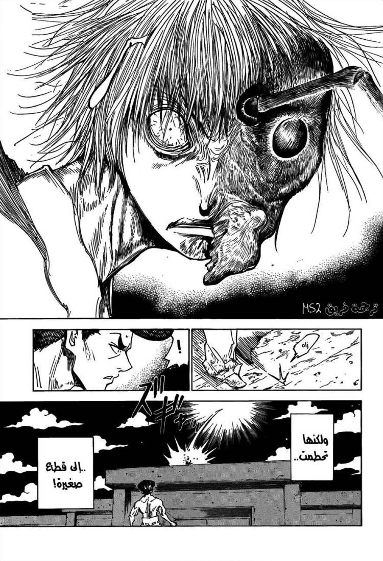 Hunter x Hunter: Chapter 298 - Page 12