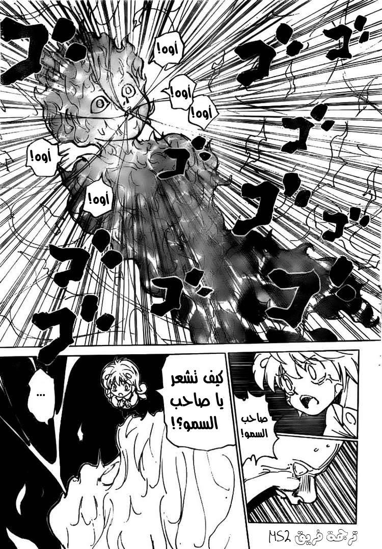 Hunter x Hunter: Chapter 299 - Page 8