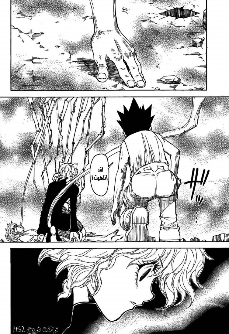Hunter x Hunter: Chapter 300 - Page 8