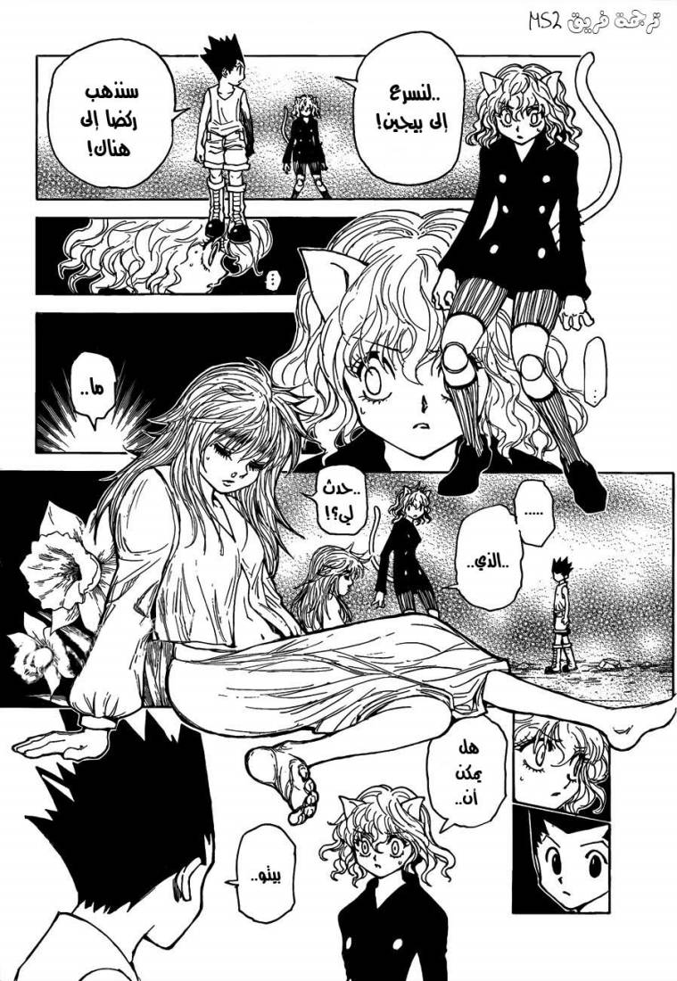Hunter x Hunter: Chapter 300 - Page 11