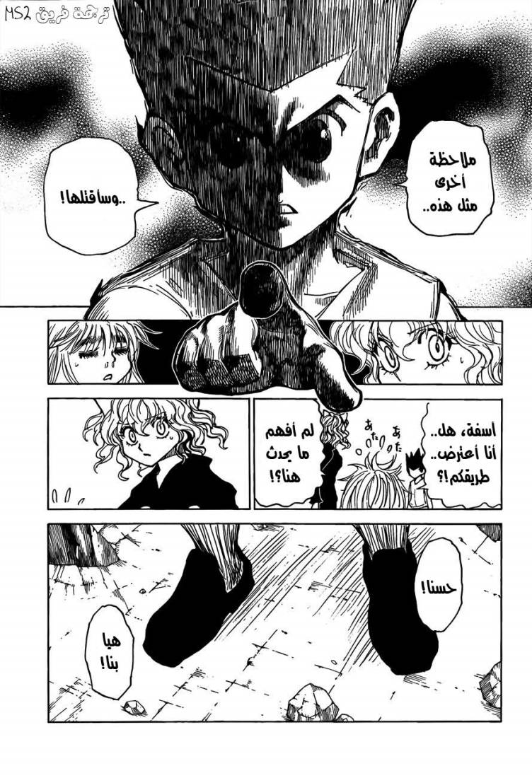 Hunter x Hunter: Chapter 300 - Page 12