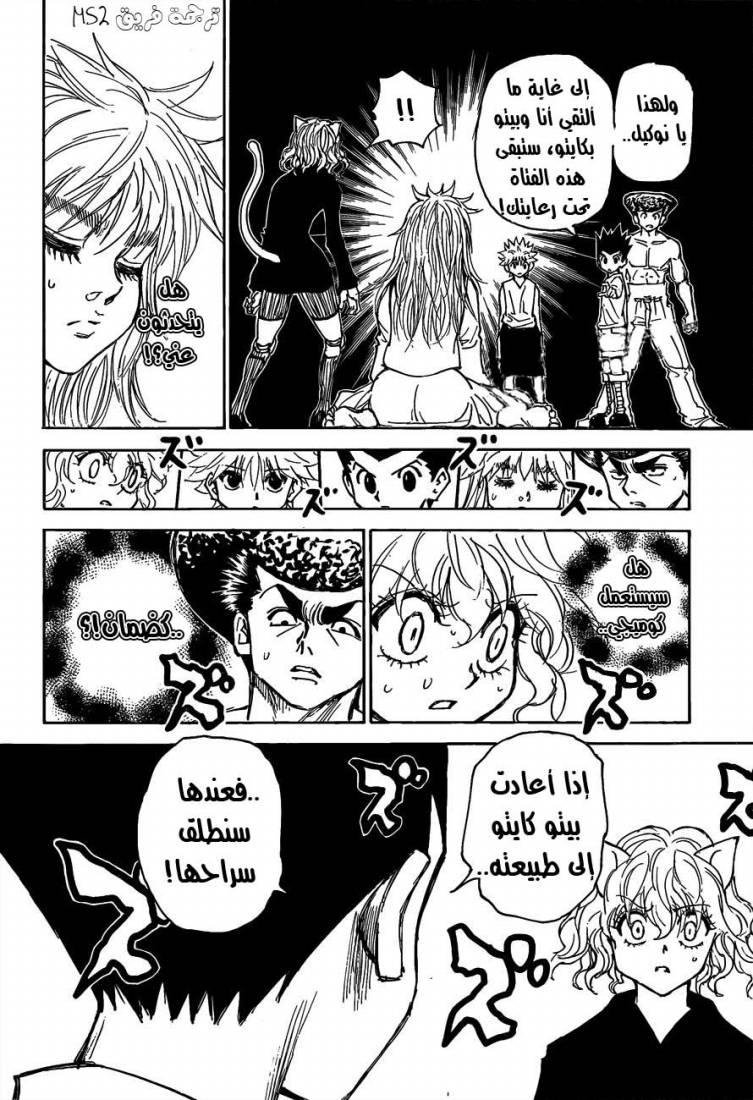 Hunter x Hunter: Chapter 300 - Page 15