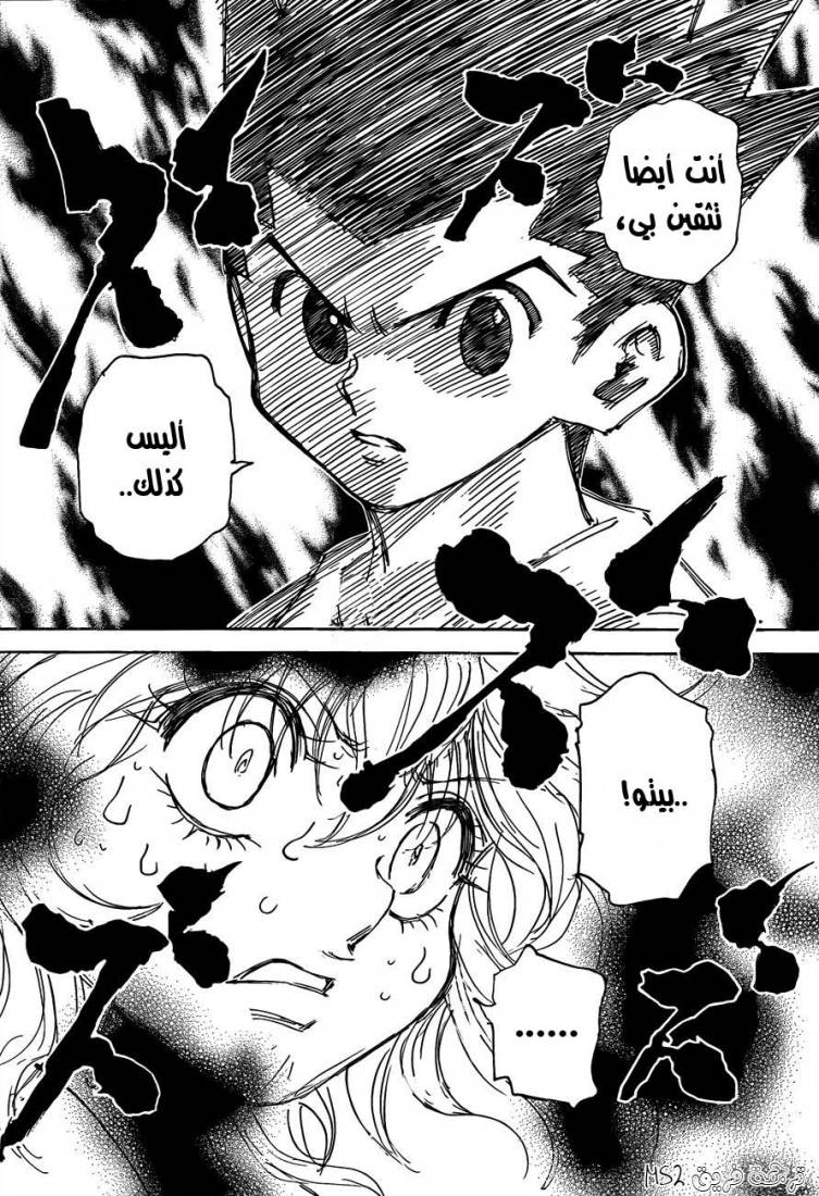 Hunter x Hunter: Chapter 300 - Page 16