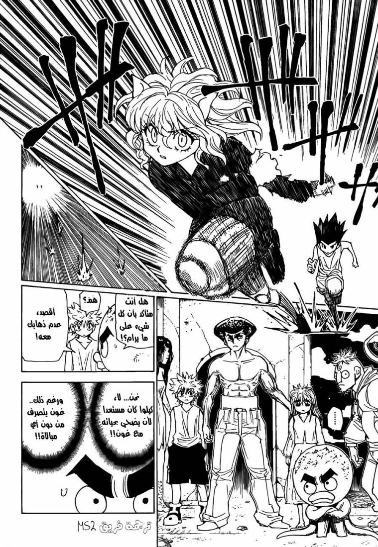 Hunter x Hunter: Chapter 300 - Page 17