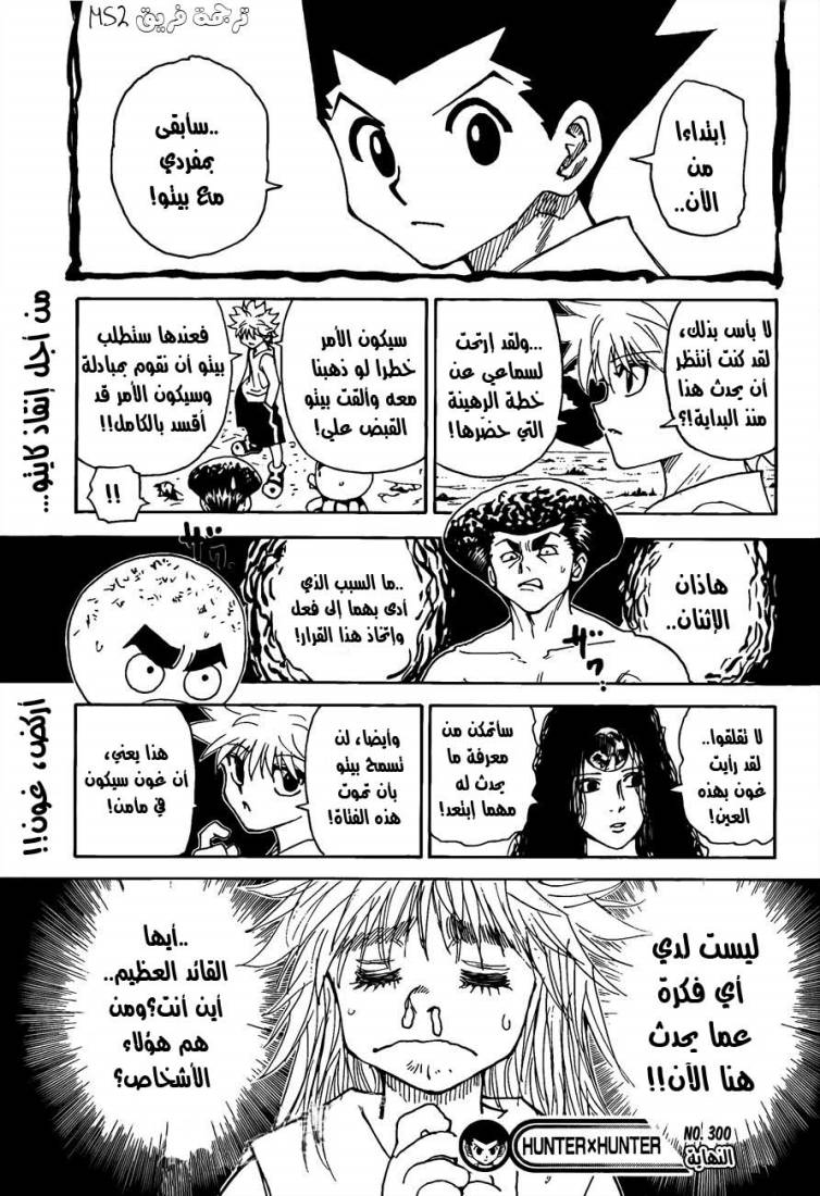 Hunter x Hunter: Chapter 300 - Page 18