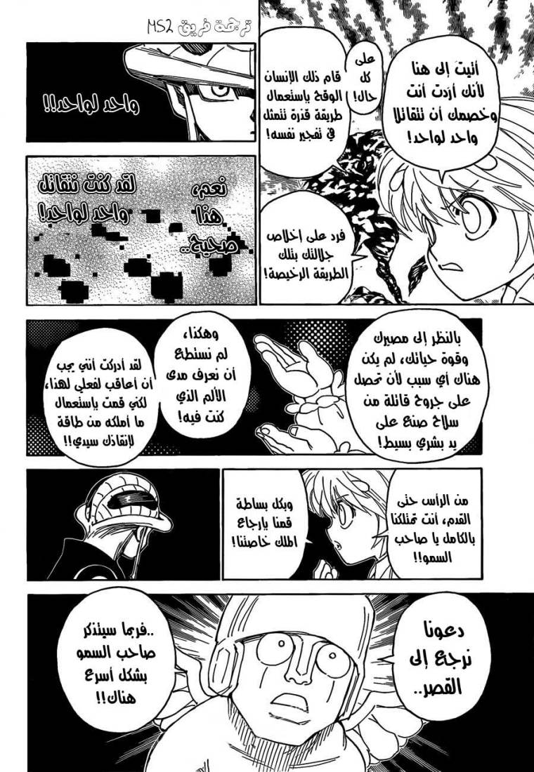 Hunter x Hunter: Chapter 301 - Page 8
