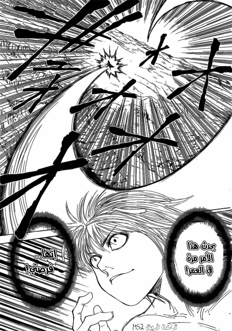 Hunter x Hunter: Chapter 301 - Page 9
