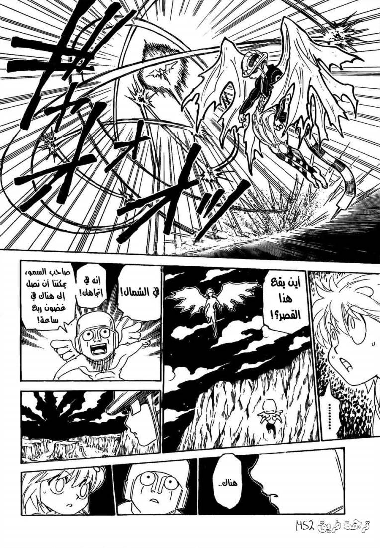 Hunter x Hunter: Chapter 301 - Page 12