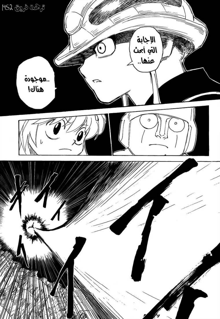 Hunter x Hunter: Chapter 301 - Page 13