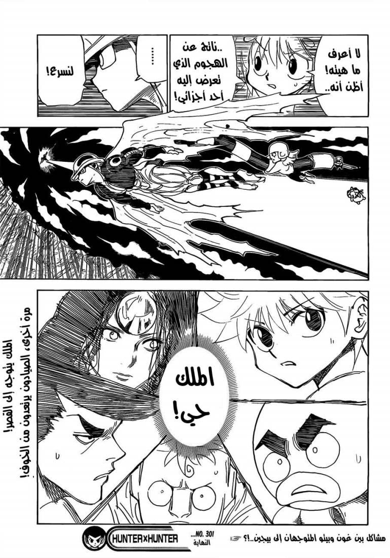 Hunter x Hunter: Chapter 301 - Page 19