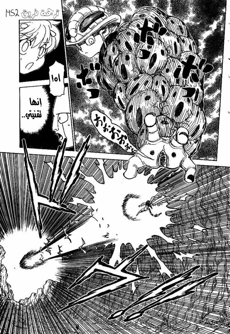 Hunter x Hunter: Chapter 302 - Page 4