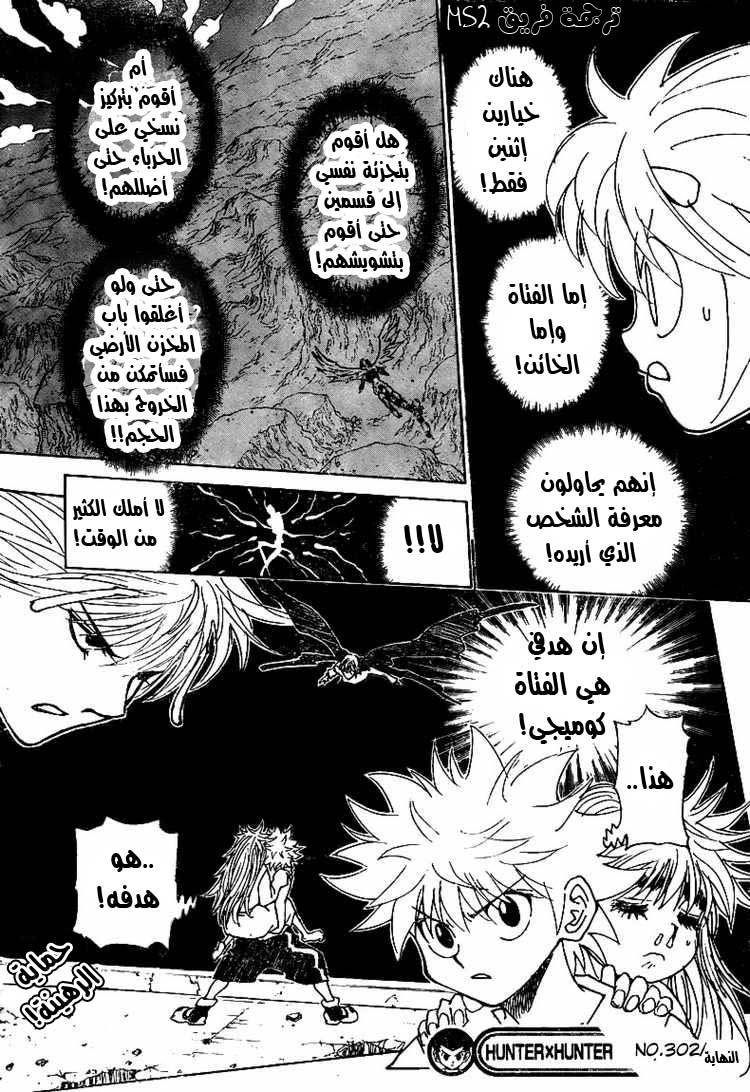 Hunter x Hunter: Chapter 302 - Page 17