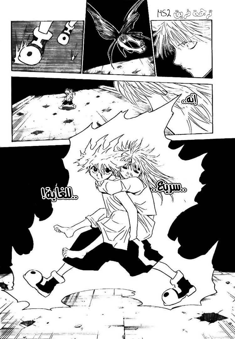 Hunter x Hunter: Chapter 303 - Page 2