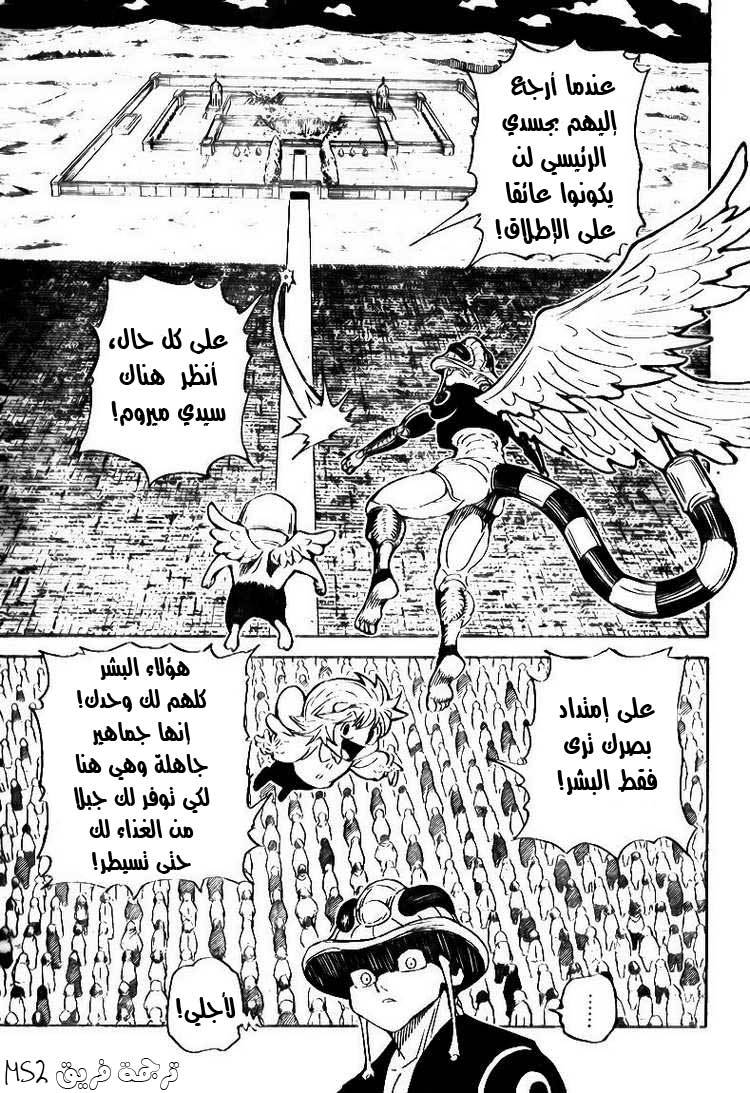 Hunter x Hunter: Chapter 303 - Page 13