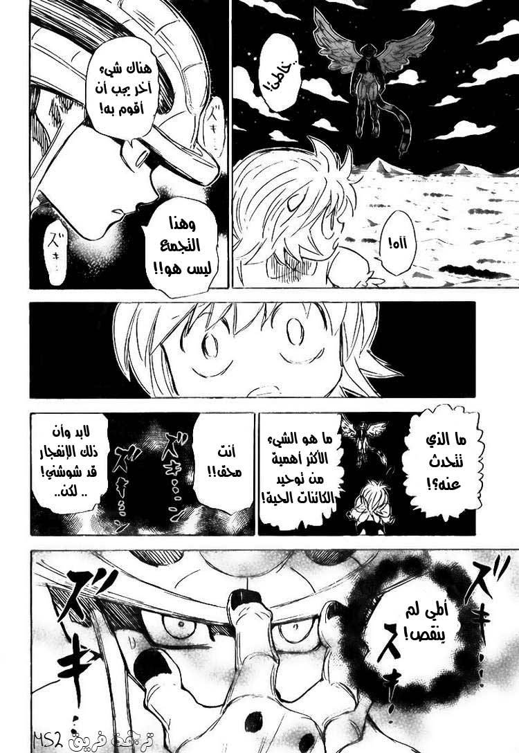 Hunter x Hunter: Chapter 303 - Page 15