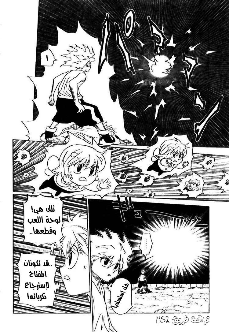 Hunter x Hunter: Chapter 303 - Page 17