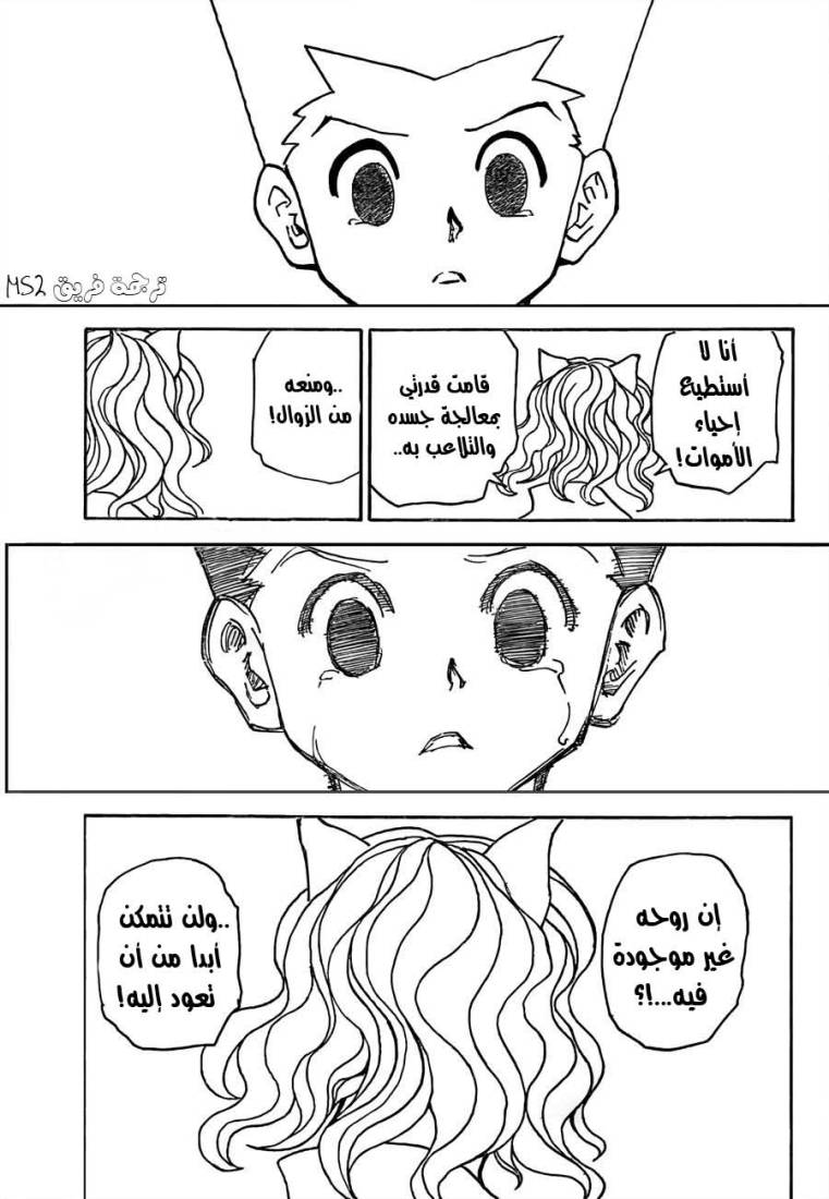Hunter x Hunter: Chapter 304 - Page 15
