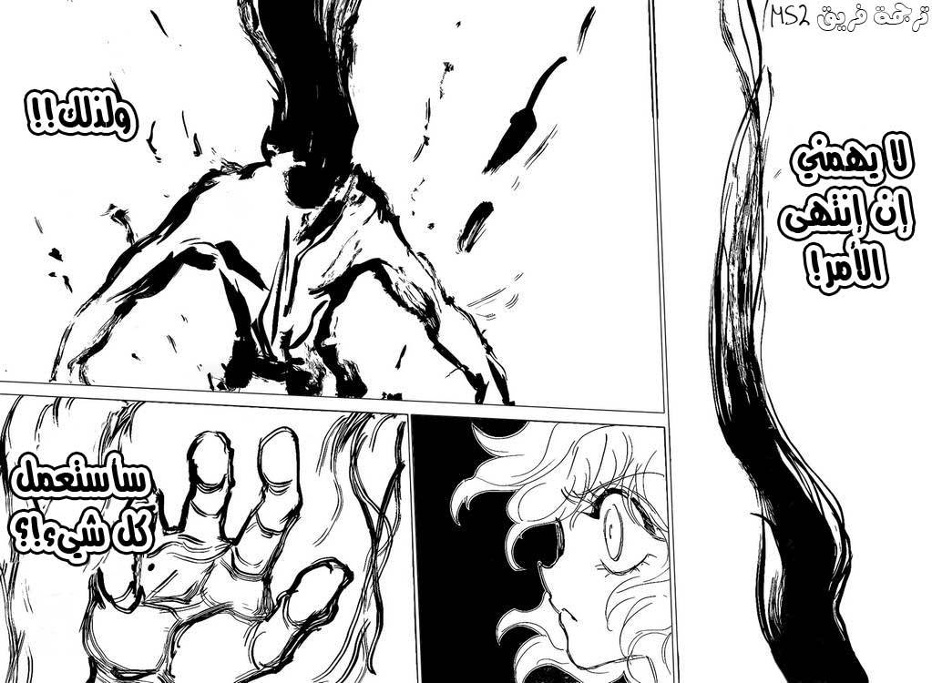 Hunter x Hunter: Chapter 305 - Page 14