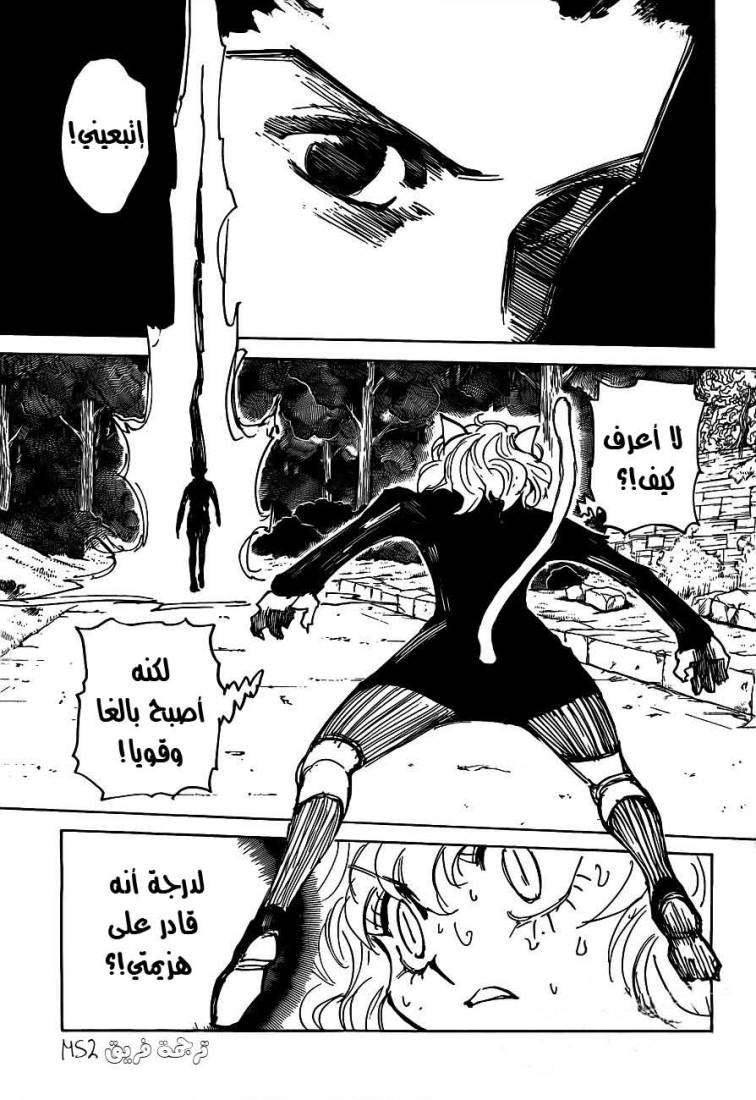 Hunter x Hunter: Chapter 306 - Page 6